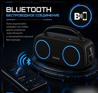 dji mic 1: Портативная колонка караоке система с двумя микрофонами Eccotae TK-118 — 2