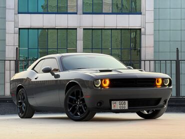 купить бронированный автомобиль: Dodge Challenger: 2020 г., 3.6 л, Автомат, Бензин, Седан