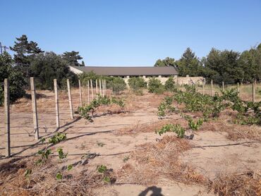 Torpaq sahələrinin satışı: 19 sot, Kupça (Çıxarış), Texniki pasport -da lalafo.az — 2 Torpaq sahələrinin satışı: 19 sot, Kupça (Çıxarış), Texniki pasport — 2