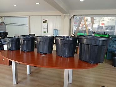 Bitkilər üçün dibçəklər: Plastik bağ və fidanqodu qabları – müxtəlif həcmlərdə 130 litrlik 25 — 1
