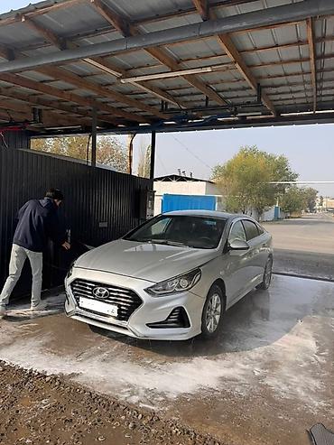 baic eu5: Hyundai Sonata: 2019 г., 2 л, Автомат, Газ, Седан — 1