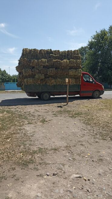 домик для собак: Клерев 2укос доставка есть 250шт