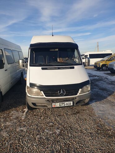 мерс вито виано: Mercedes-Benz Sprinter: 2006 г., 2.2 л, Механика, Дизель, Бус