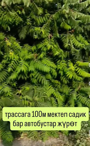 аренда жилье: 6 комнат и более, 200 м², 8 соток, Лебединовка, Собственник — 3