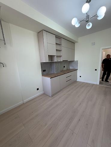 750: 1 комната, 48 м², Технопарк Элитка, 3 этаж, Евроремонт — 10