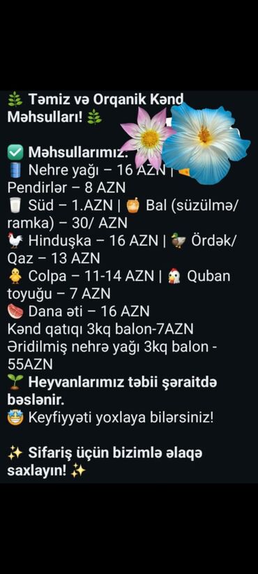 Pendir: Təmiz kənd məhsuları dadına söz ola bilməz alıb hər yerdede