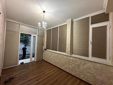 Жалюзи и рольшторы: Рулонные шторы «День-Ночь» (зебра) - Полотно: чередование прозрачных — 12