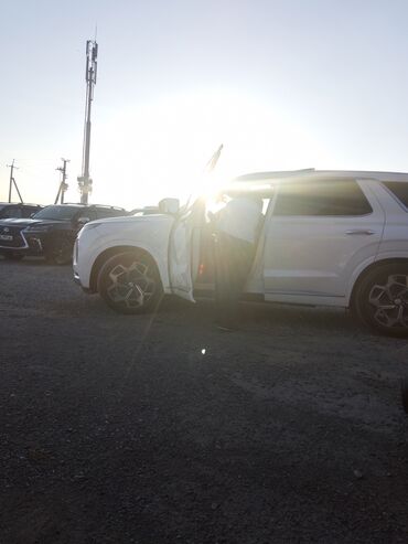 Hyundai: Hyundai Palisade: 2021 г., 2.2 л, Автомат, Дизель, Внедорожник