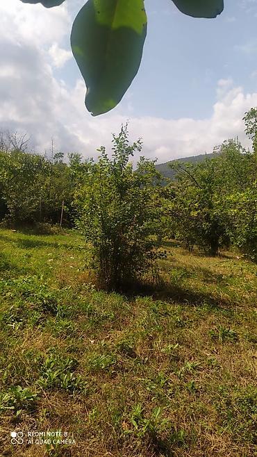 bağ ev: Gəncə, 4 kv. m, 1 otaqlı, Hovuzsuz, Su — 3