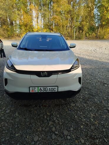 субару оутбек 2016: Weltmeister EX5, 2021 г., 55000 км, Передний, В наличии