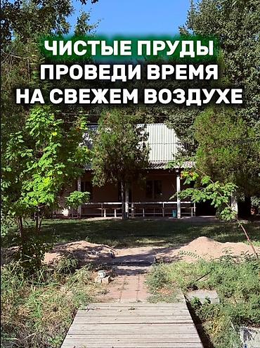 чоктал комната: Чистые пруды — пространство для отдыха на свежем воздухе. - Большой — 1