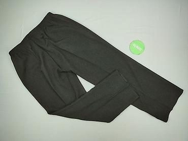 da: BRAX, Spodnie materiałowe damskie, rozmiar 3XL — 3