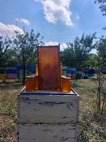 guller: İstenilen labaratoriyada yoxlada bilersiniz Temizleye 100 % QARANTİ — 7