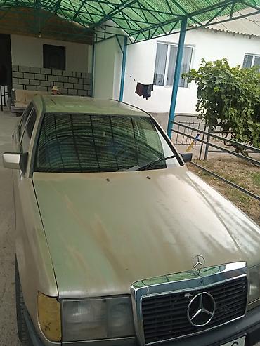 w124 дерево: Mercedes-Benz W124: 1987 г., Механика, Седан — 4