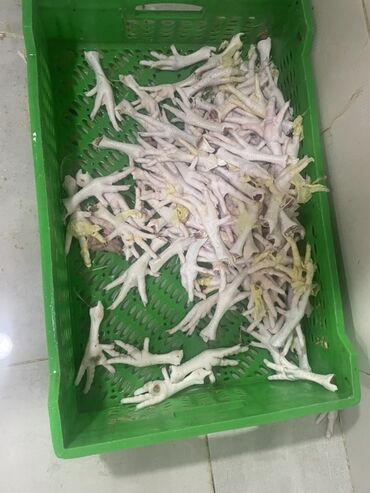 Другие продукты питания: Məhsul: Toyuq pəncələri Təsvir: - Yaşıl səbətdə təmizlənmiş və