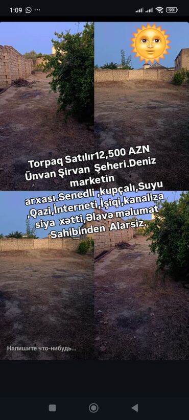 bakı şəhəri nizami rayonu m.abbasov küçəsi 13: Mülkiyyətçi, Kupça (Çıxarış)