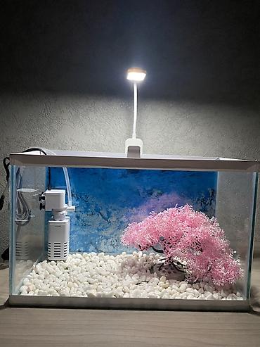 Akvariumlar: Hazır 12 Litr akvarium seti. İşlənməyib yenidir. Başqa yeni digər — 5