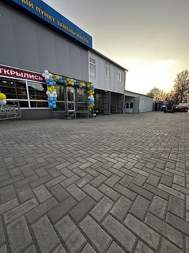 СТО, ремонт транспорта: Промывка, чистка систем автомобиля, без выезда — 16