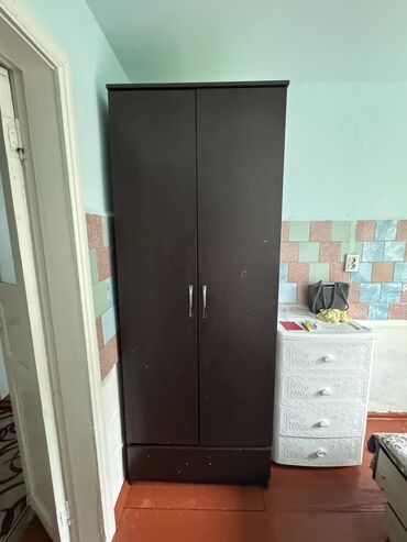 прием черного металла: Кийим салуучу шкаф, Колдонулган, Түз, Жыгач