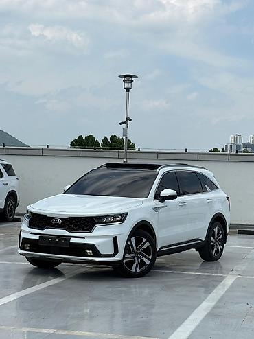 e klass: Kia Sorento: 2020 г., 1.6 л, Автомат, Гибрид — 6