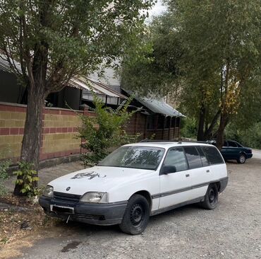 запчасти на опель зафира б: Opel Omega: 1990 г., 2.5 л, Автоматтык, Бензин, Универсал