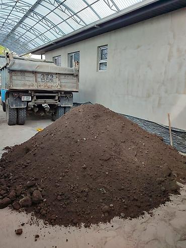 Грунт, чернозем: Чернозем чернозем чернозем чернозем чернозем чернозем чернозем — 1