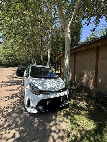 7800: Kia Picanto: 2020 г., 1 л, Автомат, Бензин, Хэтчбэк — 2