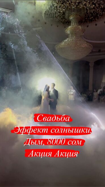 Организация мероприятий: Эффект золушки✨ дым 💨 снег ❄️ лунный свет 🌘 Сделаем вашу свадьбу не