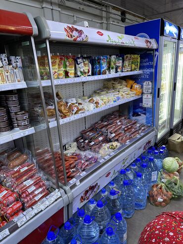 мини холодильник: Для молочных продуктов, Россия, Б/у