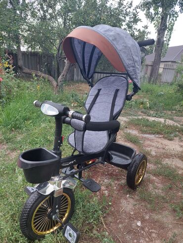 Детский мир: Велоколяска почти новая, нам подарили, ребёнок не захотел сидеть