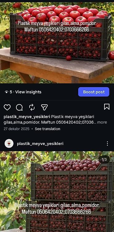 Bağ və bostan üçün digər məhsullar: Plastik meyvə yeşikləri - Məhsul: Meyvə-tərəvəz üçün havalandırma — 4