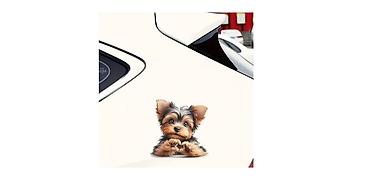 iž 12 bokerica: Nalepnica za automobil - Yorkie Nalepnica za automobil. Dimenzije — 2