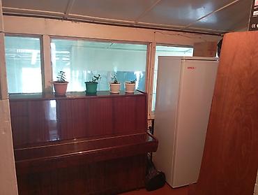 Деревянные штакетники: Деревянные штакетники, Покраска забора — 27