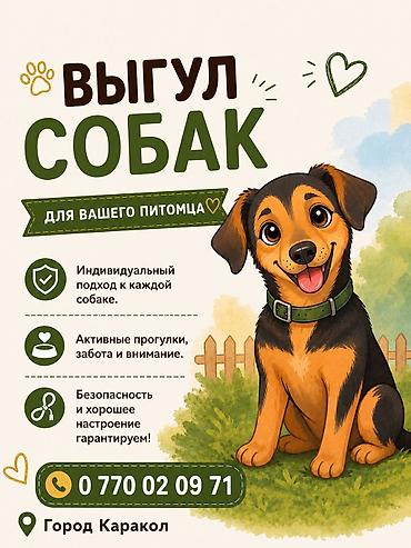 овчарка сука: Выгуливаю собак все по 250 сомов выгул 1 час мне 14 лет есть опыт — 1