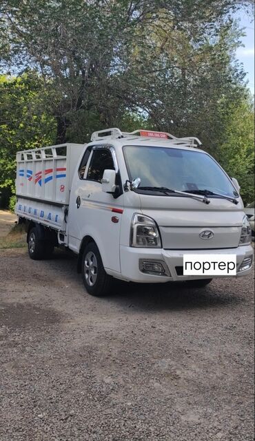 объявления о продаже собак: ПОРТЕР ТАКСИ 🚕 ПОРТЕР ТАКСИ 🚕 ПОРТЕР ТАКСИ 🚕 ПОРТЕР ТАКСИ 🚕 ПОРТЕР