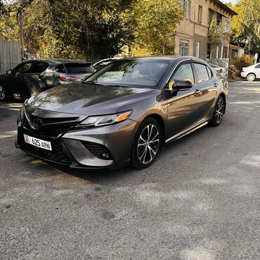 сденя на спринтер: Toyota Camry: 2019 г., 2.5 л, Автомат, Бензин, Седан