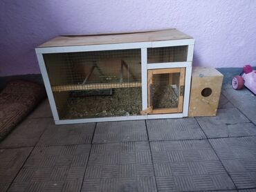 домик для волнистых попугаев: Продам клетку для птиц или для цыплят хорошая большая клетка