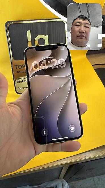 note 16 pro: IPhone 12 Pro, Б/у, 256 ГБ, 100 % — 10
