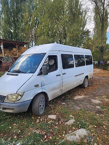 Коммерческий транспорт: Легкий грузовик, Mercedes-Benz, Дубль, 3 т, Б/у — 2