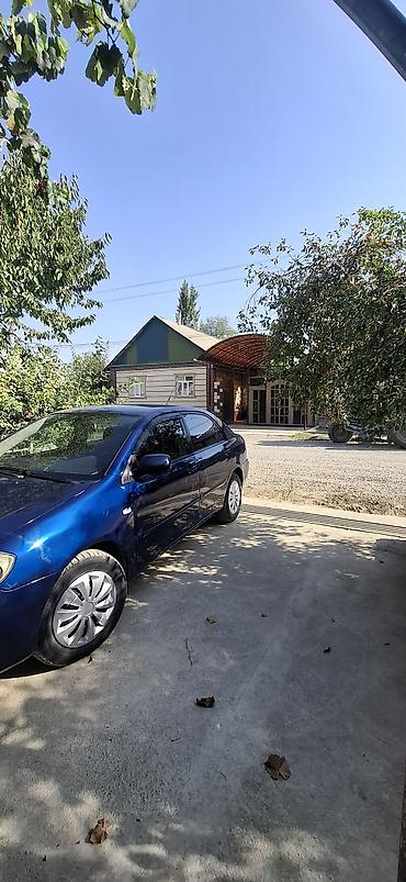 daewoo lanos 1: Toyota Corolla: 2006 г., 1.6 л, Автомат, Бензин, Седан — 3