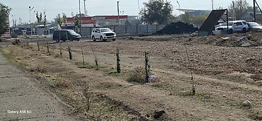 автоматизация кафе: 25 соток Для бизнеса, Электричество, Водопровод, Канализация — 3