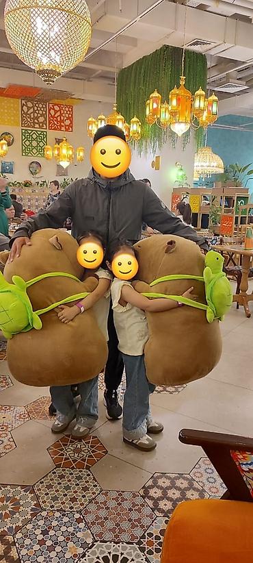 капибар: Продаем 1 штуку новые игрушки Капибара. высота 80 см . состояние — 1