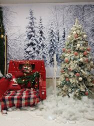 Foto və video çəkiliş: Foto çəkiliş | Studiya | Tədbirlərin çəkilişi, Love story, Toy fotosesiyası — 4