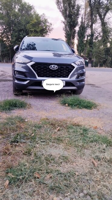 хендай тускани: Hyundai Tucson: 2019 г., 1.6 л, Автомат, Дизель, Жол тандабас
