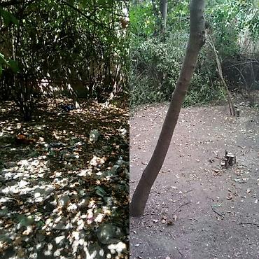 копать огород: -Уборка двора сада (огорода). -Услуги озеленения — 2