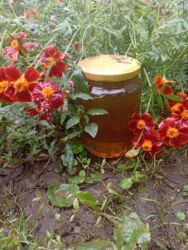 su ceni bak: Təbii dağ balı – şüşə qabda - Yüksək dağlıq ərazidə, çoxçeşidli