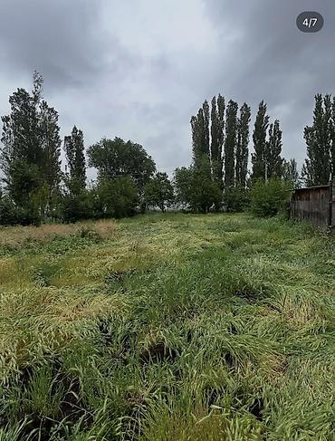 Үйлөрдү сатуу: Продается дом с участком 16 соток — 3