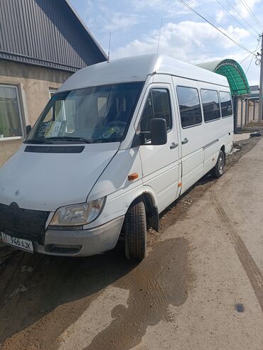 Mercedes-Benz: Mercedes-Benz Sprinter: 2003 г., 2.9 л, Механика, Дизель, Бус