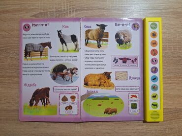 Igračke: Zvučna knjiga Domaće društvance Vulkančić i učimo brojeve Domaće — 2