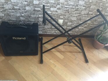 midi keyboard: Roland amplifier and Steel stand for keyboard